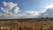 Buy a lot of land, Lugovaya-ul, Ukraine, Irpen, Irpenskiy_gorsovet district, Kiev region, , 1 536 000
