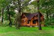 Rent a house, st. rechnaya, Ukraine, Pirnovo, Vyshgorodskiy district, Kiev region, 4  bedroom, 180 кв.м, 80 800/mo